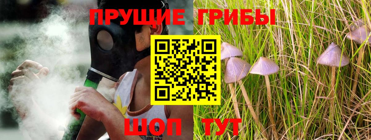 Новокуйбышевск  Галлюциногенные грибы мухоморы  Вход с VPN 