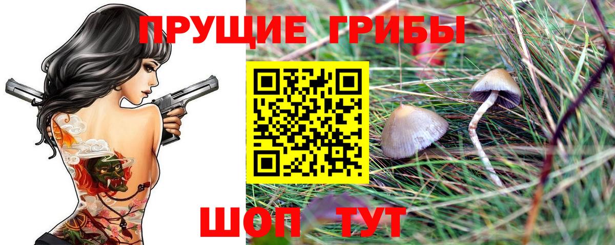 Галлюциногенные грибы ЛСД Новокуйбышевск